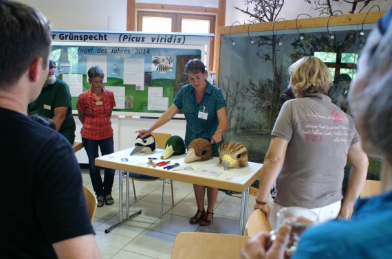 Workshop-Artenvielfalt - Foto: Sabine Ratzel